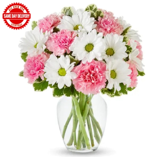 Daisy & Rose Delight