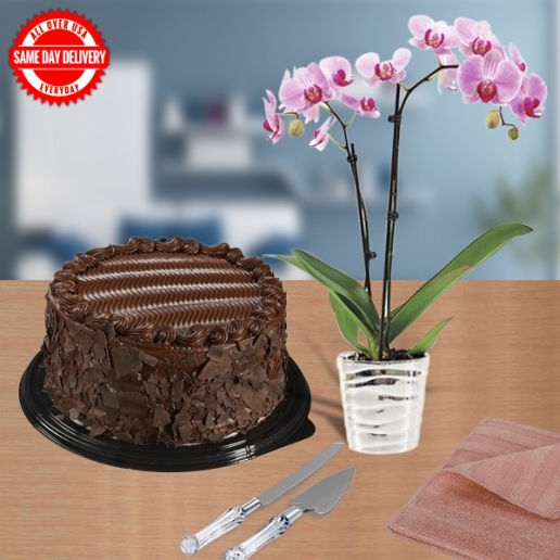 Cake and Orchid Plant