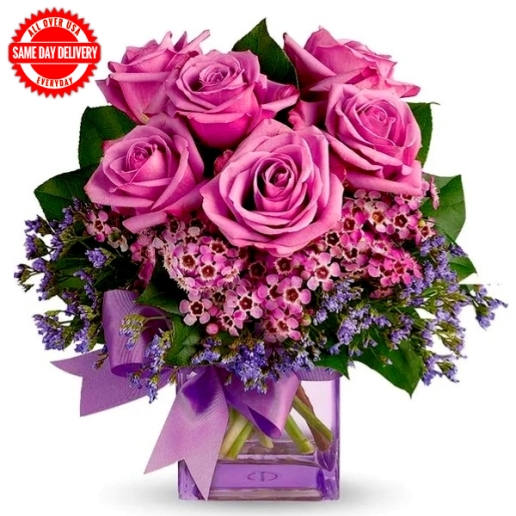 Purple Morning Melody