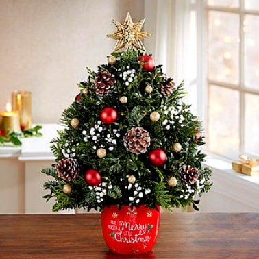 Online Christmas Gifts Delivery to USA