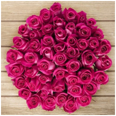 Flowers-delivery-online