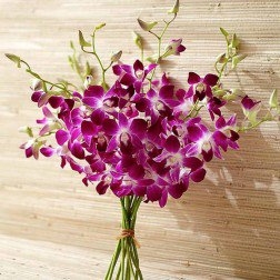 Send flowers online Send flowers online