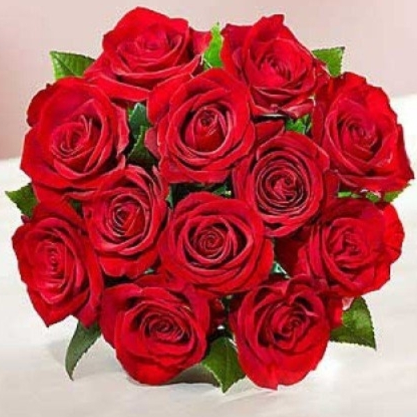 Red Color Flowers for Valentine’s