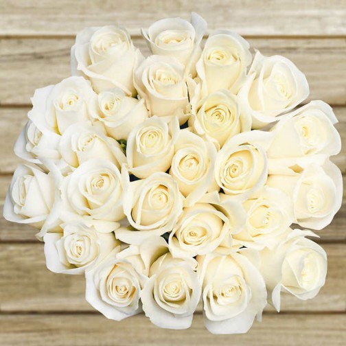 White Color Flowers for Valentine’s