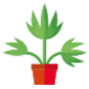 Send Plants Online